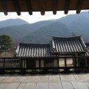 신촌1리 이미지