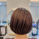 헤어보그 이미지