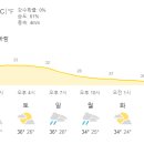 8월3일 오늘의 날씨 이미지