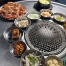 진갈매기 이미지