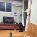 월오포레스트 이미지