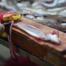 바다장어 이미지