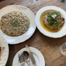 마이포레스트 이미지