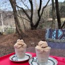 청초수물회앤섭국 이미지