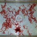 디스커스코리아 이미지