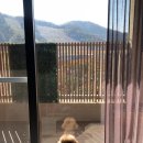 우리는 사랑 아니면 여행이겠지. -아기랑 강아지랑 홍천여행 2편