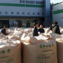 콩사랑 영농조합법인 이미지