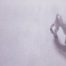 연은동물병원 이미지