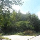 무릉도원면-49 이미지