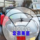 영주차유리