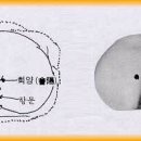 요유 이미지