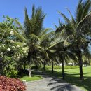 PM풀빌라 | [나트랑/베트남] 밖에 나가기 싫어지는 숙소, 더웨스틴 깜란 1베드룸 풀빌라 후기