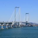 대성동 시민경찰연합회 | 청라하늘대교 마라톤 직접 가보니