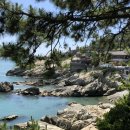 동해곰장어나라 | ✨부산 여행 필수 코스! 바다 위 신비로운 사찰, 해동용궁사 🐉🌊