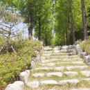 우로지 자연숲 공원(메타세쿼이아길) 이미지