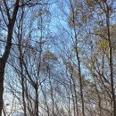 어슬티굿밤 이미지