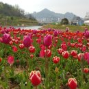 삼학도 중앙공원 이미지