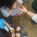 해법 행정사사무소 이미지