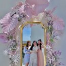 채널 트웰브 이미지