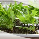 화분들닷컴 이미지
