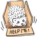 다올동물병원 이미지