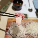 정원참치 | 야탑 조용하게 즐기기 좋은 참치전문점 정원참치 VIP코스 후기 내돈내산