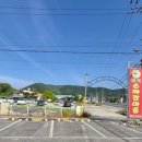 대교손짜장
