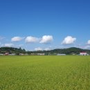 채령농장 이미지