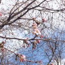 리하스킨케어 이미지