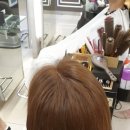 몬테라헤어 네이버블로그