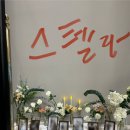 스타 파라다이스 투어 이미지