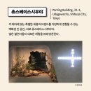 도쿄 리테일 트렌드 이미지