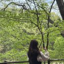 문장대카페＆편의점 | 대중교통으로 속리산 다녀오기? 날씨 미쳤던 힐링 당일치기