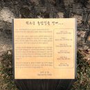 단풍놀이 명소 가볼만한 곳 추천