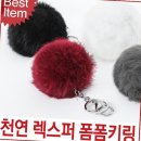 렉스 이미지