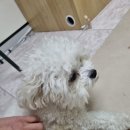 늘봄아로마테라피 이미지