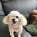 예쁜너를위한 이미지