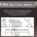 [군포, 안양, 안산, 수원] 쇼케이 스포츠 베이스볼 / 200평 / 7M층고 / 한국최초 비선수출신 프로야구 선수배출 / 이미지