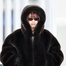 흑곰이다 이미지