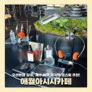 애월아시시 | 제주 카페 추천 공항 가기 전 들르기 좋은 애월 카페 애월아시시