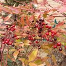 청송읍사무소 이미지