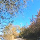 금와습지 생태공원 | [창녕 가볼만한 곳] 경남 창녕 유어면 대대리 습지 생태 공원 우포늪 생명길 걷기 후기 : 우포늪