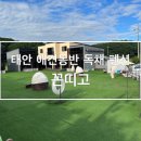 꼰띠고애견펜션 이미지