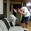 아뮤즈폴댄스&플라잉요가