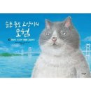 뚱보 고양이 이미지