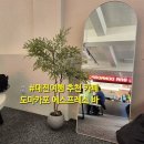 도마카포 이미지