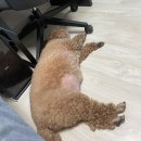 외화경로당 | 매미가 울 때 쓰는 3월의 기록