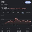 유한회사 오름 이미지