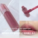 시도17호선 | 올리브영 블러 틴트 추천 l 차분한 가을뮤트립 페리페라 오버 블러 틴트 17호 핑리패스 내돈내산 후기