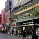 💇‍♀️준오헤어 명동4호점 수빈실장님, 모카무스 컬러+두피케어 후기